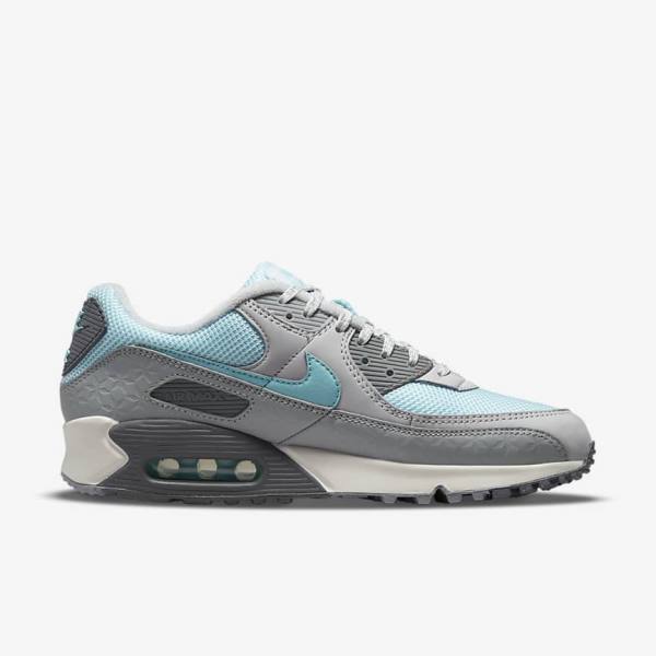 Nike Air Max 90 Sneakers Herren Grau Platin | NK375EPL