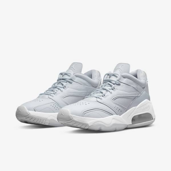 Nike Jordan Point Lane Jordan Schuhe Herren Platin Weiß Grau | NK480VLX