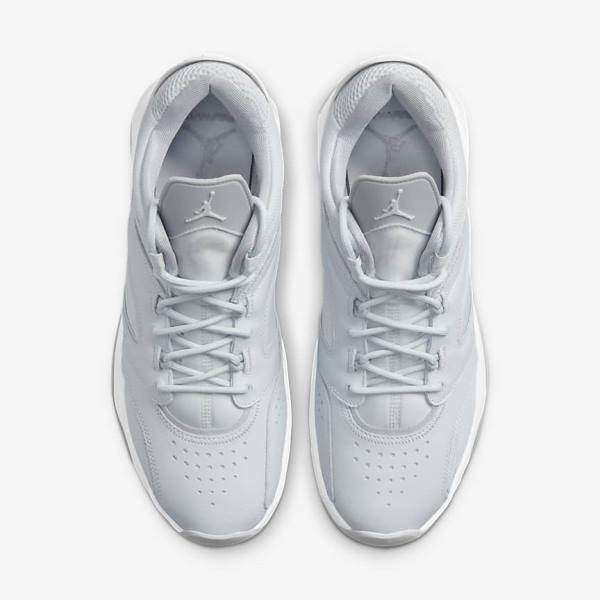 Nike Jordan Point Lane Sneakers Herren Platin Weiß Grau | NK960UEQ