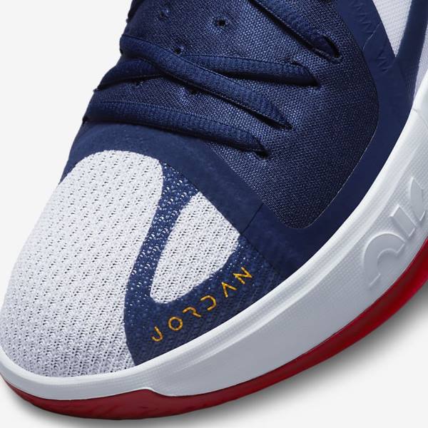 Nike Jordan Zoom Separate Jordan Schuhe Herren Navy Weiß Rot Gold | NK851GSW