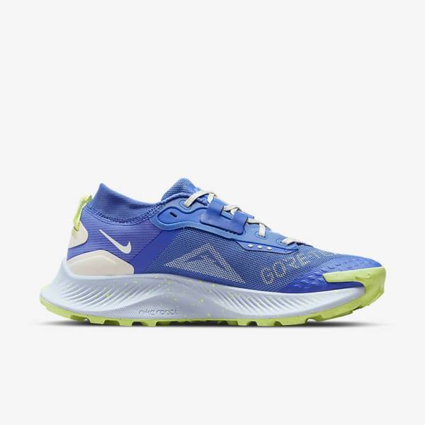 Nike Pegasus Trail 3 GORE-TEX Wasserdichte Trail Laufschuhe Damen Blau Braun Grau | NK758NKS