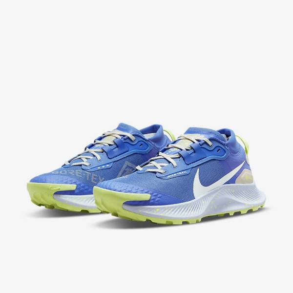 Nike Pegasus Trail 3 GORE-TEX Wasserdichte Trail Laufschuhe Damen Blau Braun Grau | NK758NKS