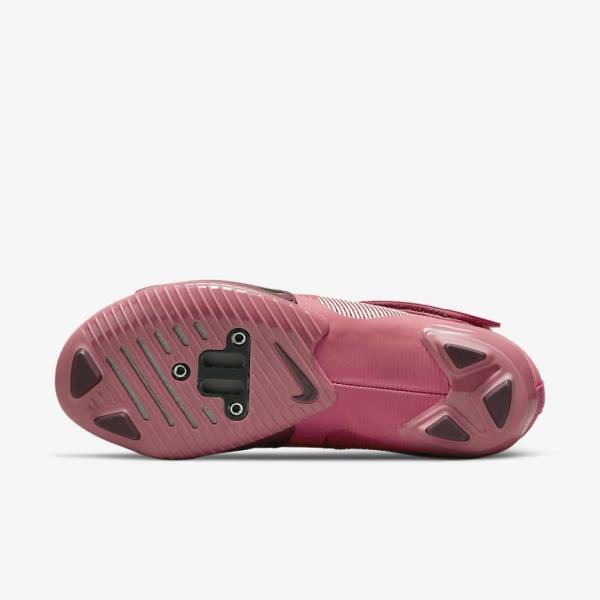 Nike SuperRep Cycle Indoor Cycling Sportschuhe Damen Rosa Metal Hellrosa | NK809FKY