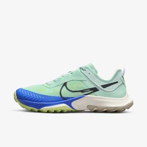 Nike Air Zoom Terra Kiger 8 Trail Laufschuhe Damen Mintfarben Grau Blau | NK931ZOU