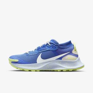 Nike Pegasus Trail 3 GORE-TEX Wasserdichte Trail Laufschuhe Damen Blau Braun Grau | NK758NKS