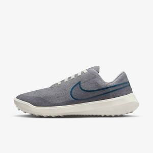 Nike Victory G Lite NN Golfschuhe Damen Grau | NK261FGU